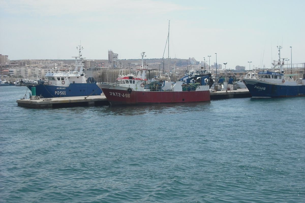 Puerto pesquero de Santa Pola